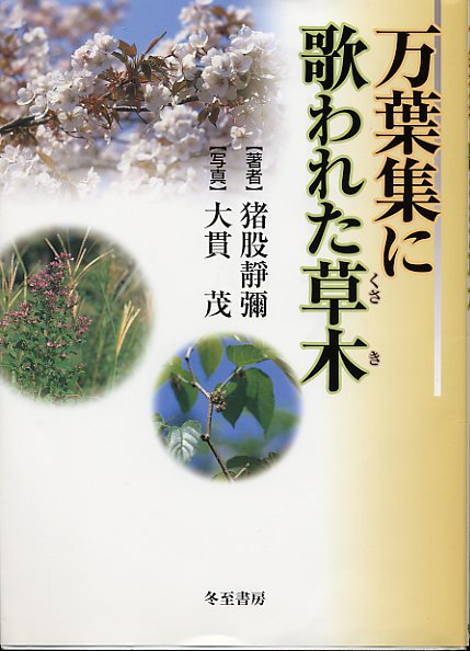 木の書籍