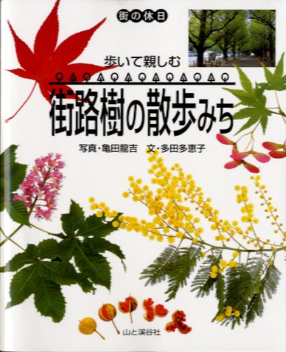 街路樹の散歩みち

