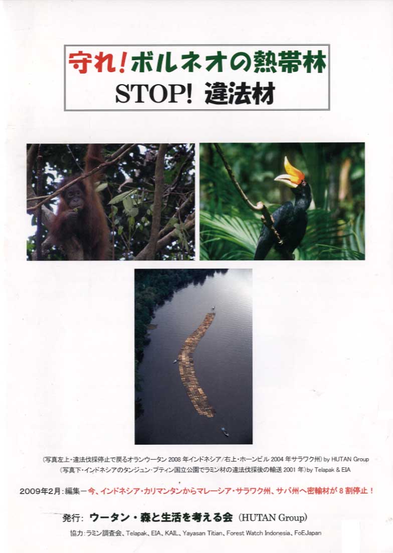 守れ!　ボルネオの熱帯林　stop違法材