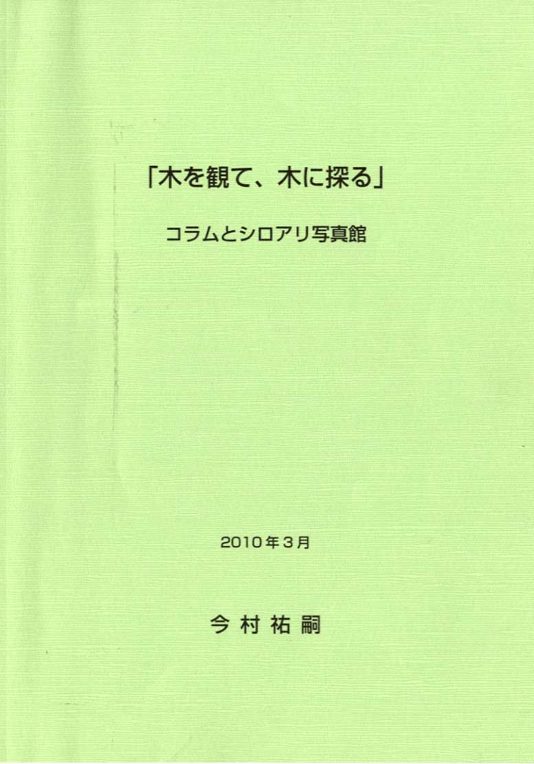 木を観て、木に探る