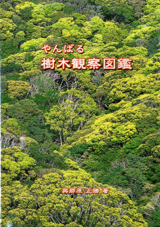 ･やんばる樹木観察図