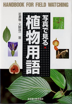 写真で見る植物用語