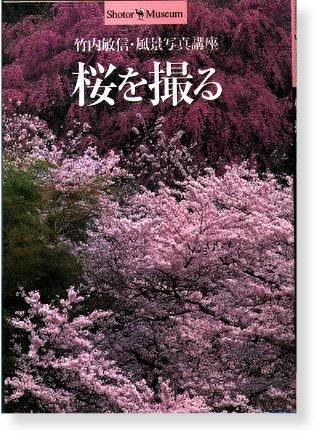 桜を撮る