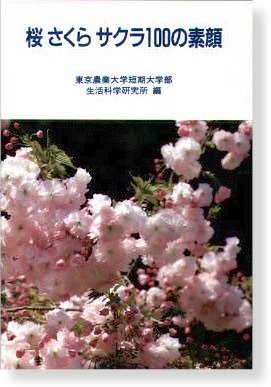 桜さくらサクラ100の素顔