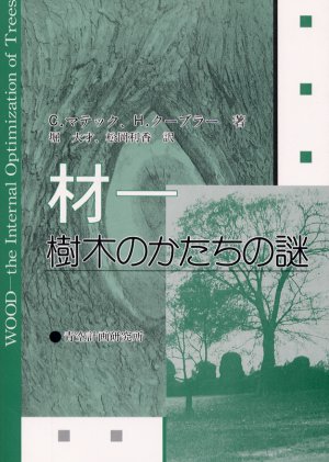 材-樹木のかたちの謎