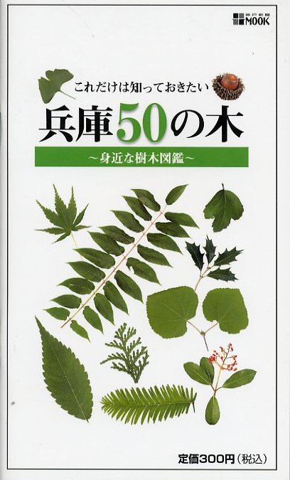 兵庫５０の木