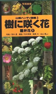 樹に咲く花　離弁花①