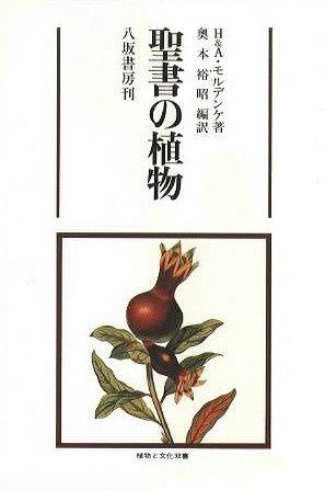 聖書の植物