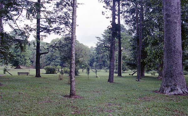 ポゴール植物園