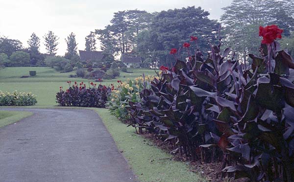 ポゴール植物園