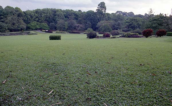 ポゴール植物園