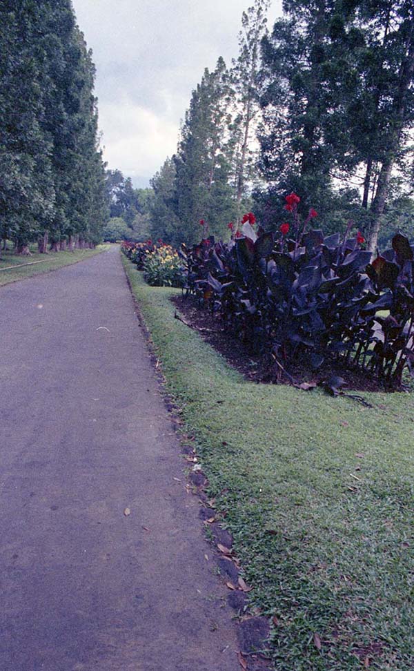 ポゴール植物園