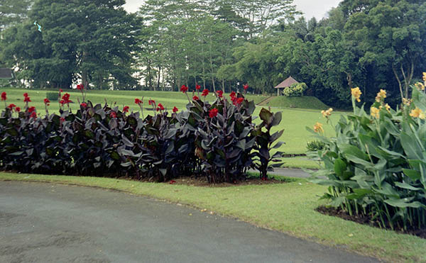 ポゴール植物園