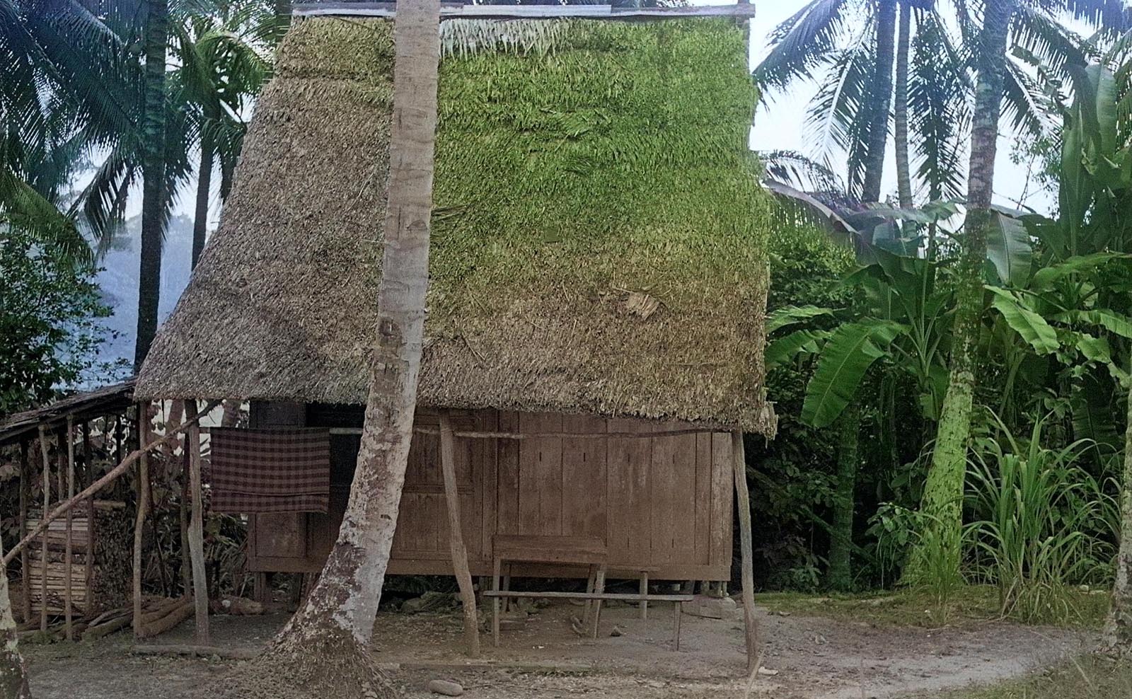 美しい村