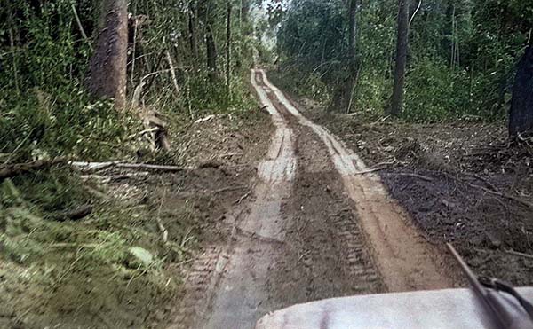 森の中の悪路