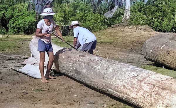 剥離現場